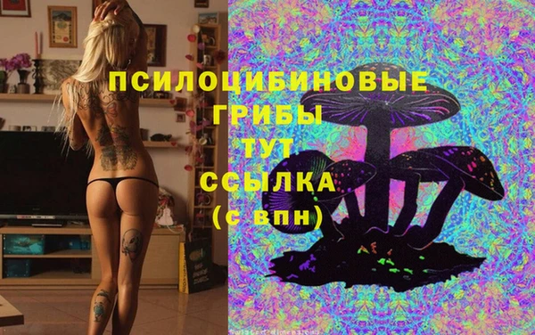 синтетический гашиш Нефтекумск