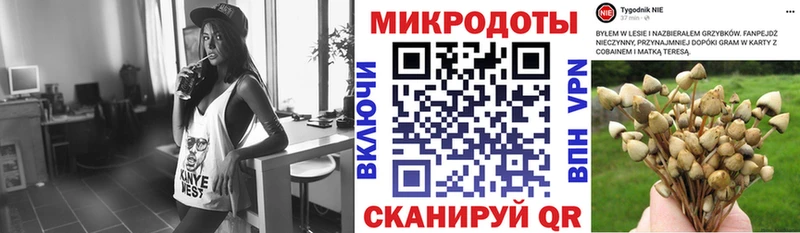 Псилоцибиновые грибы Cubensis  Любань 